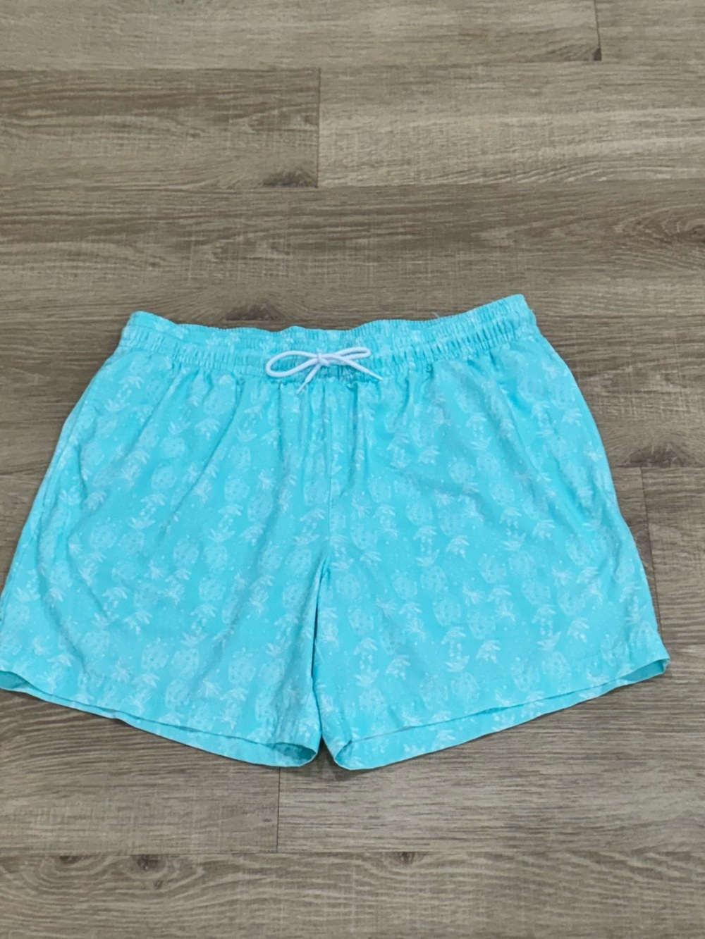Caribbean Swimwear Aqua Pineapple Swim Trunks Shorts Men’s Large Lined